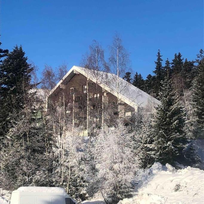 Residence Les Martinets, Grand Studio Vue Degagee, 4 Couchages, Cellier, Meuble De Tourisme 3 Etoiles, Parking Gratuit Chamrousse Ngoại thất bức ảnh